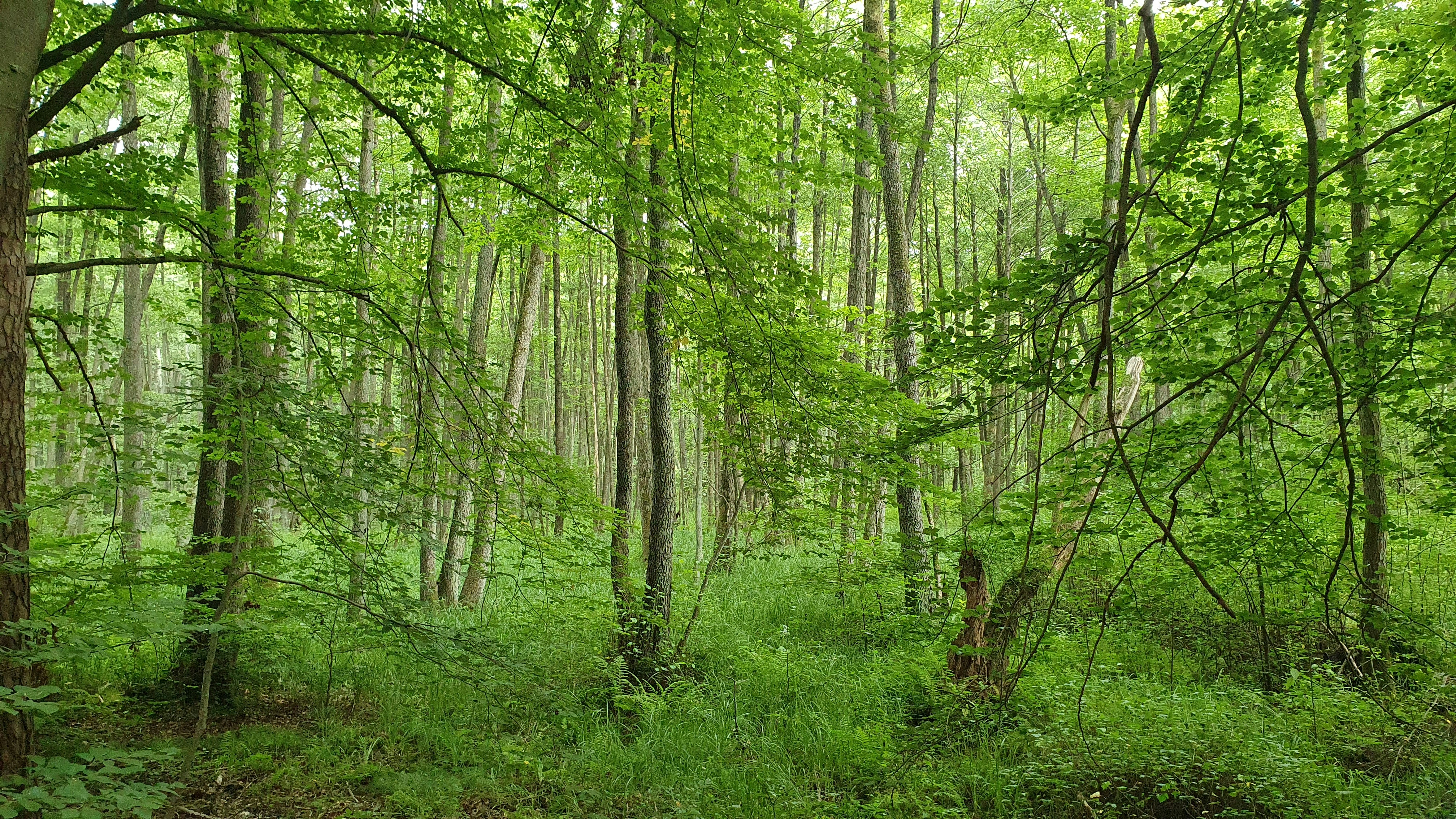 Environment Protection & Safety